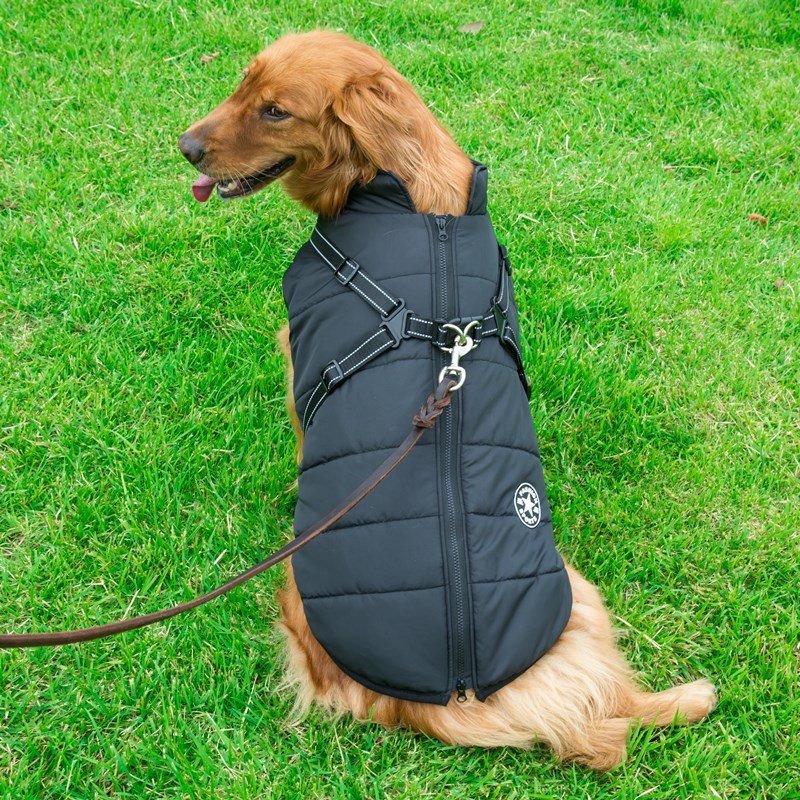 Waterproof Dog Jacket with Harness, Small to Large