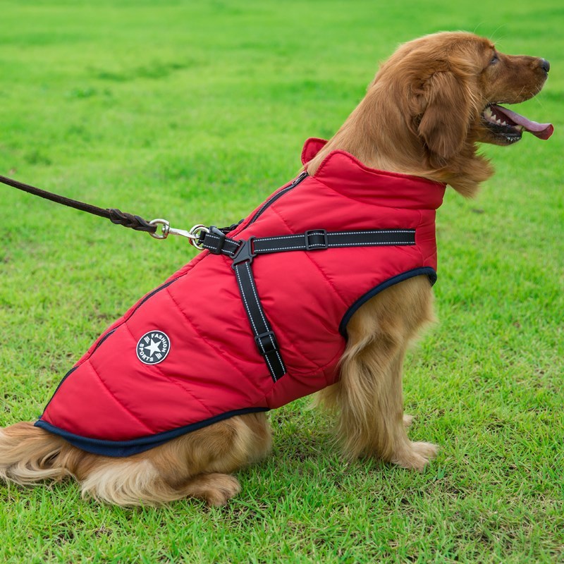 Waterproof Dog Jacket with Harness, Small to Large